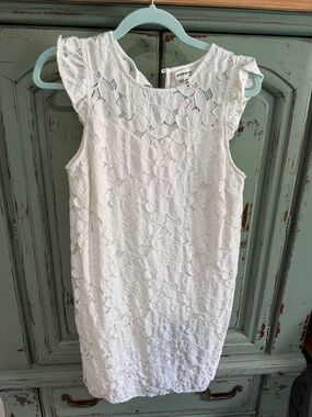 Monteau White Lace Shift Dress with Flutter Cap Sleeves